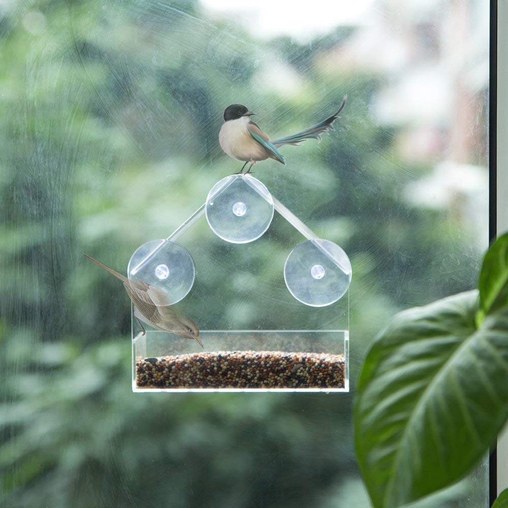 Bird Feeder Acrylic Transparent Window