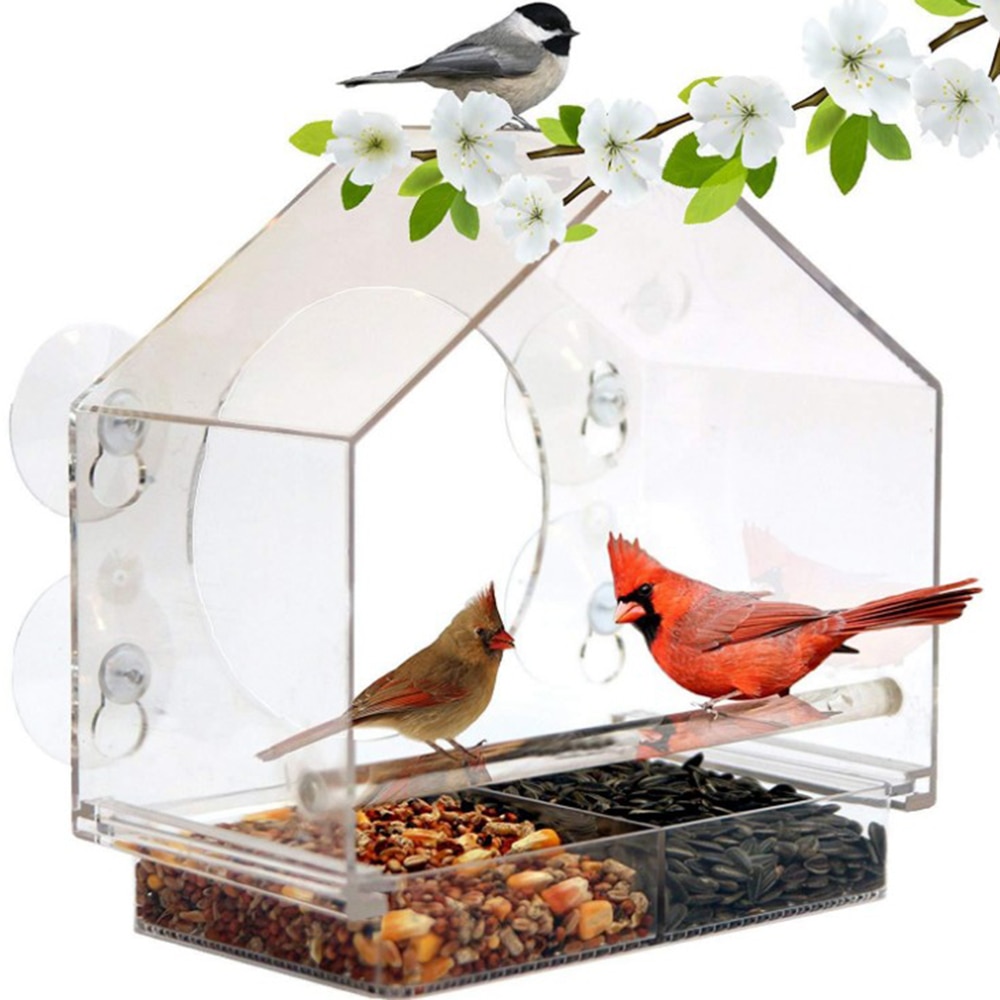 Acrylic Anti-squirrel Transparent Window Bird Feeder