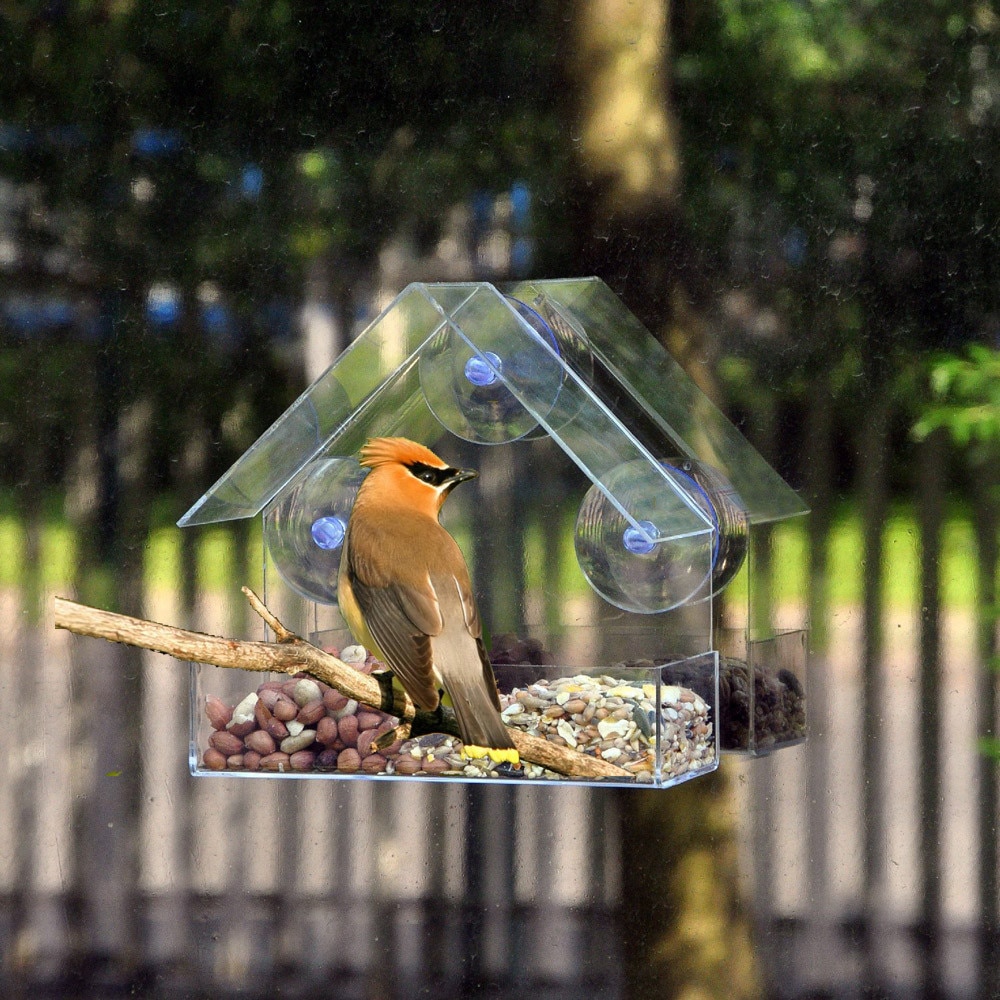 1PCS Bird Feeder Clear Glass Window