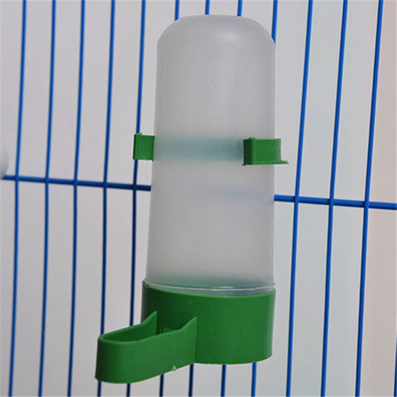 Bird Water Drinker Feeder