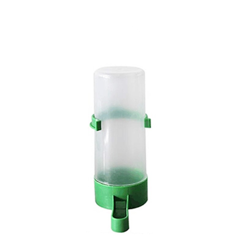 Bird Water Drinker Feeder