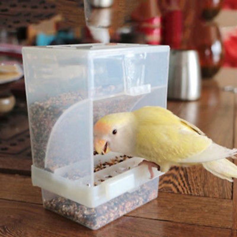 Small Size Bird Poultry Feeder