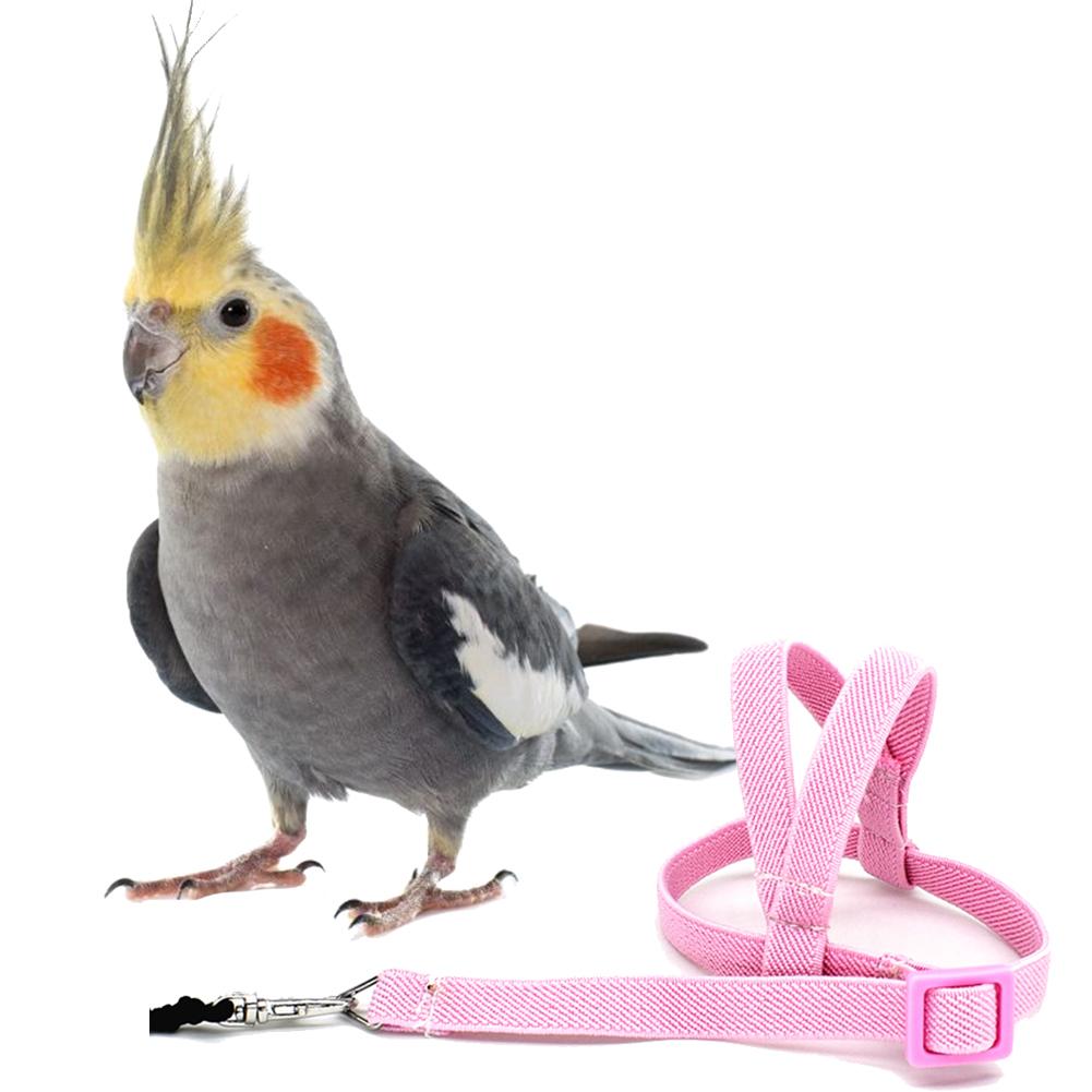 Hot Sale Anti-bite Flying Training Rope Parrot Bird