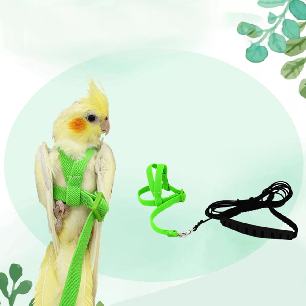 Hot Sale Anti-bite Flying Training Rope Parrot Bird