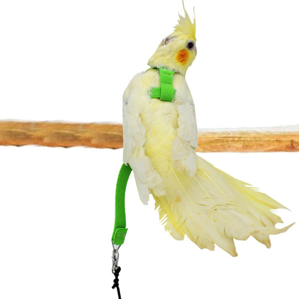 Hot Sale Anti-bite Flying Training Rope Parrot Bird