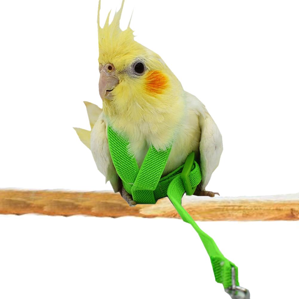 Hot Sale Anti-bite Flying Training Rope Parrot Bird