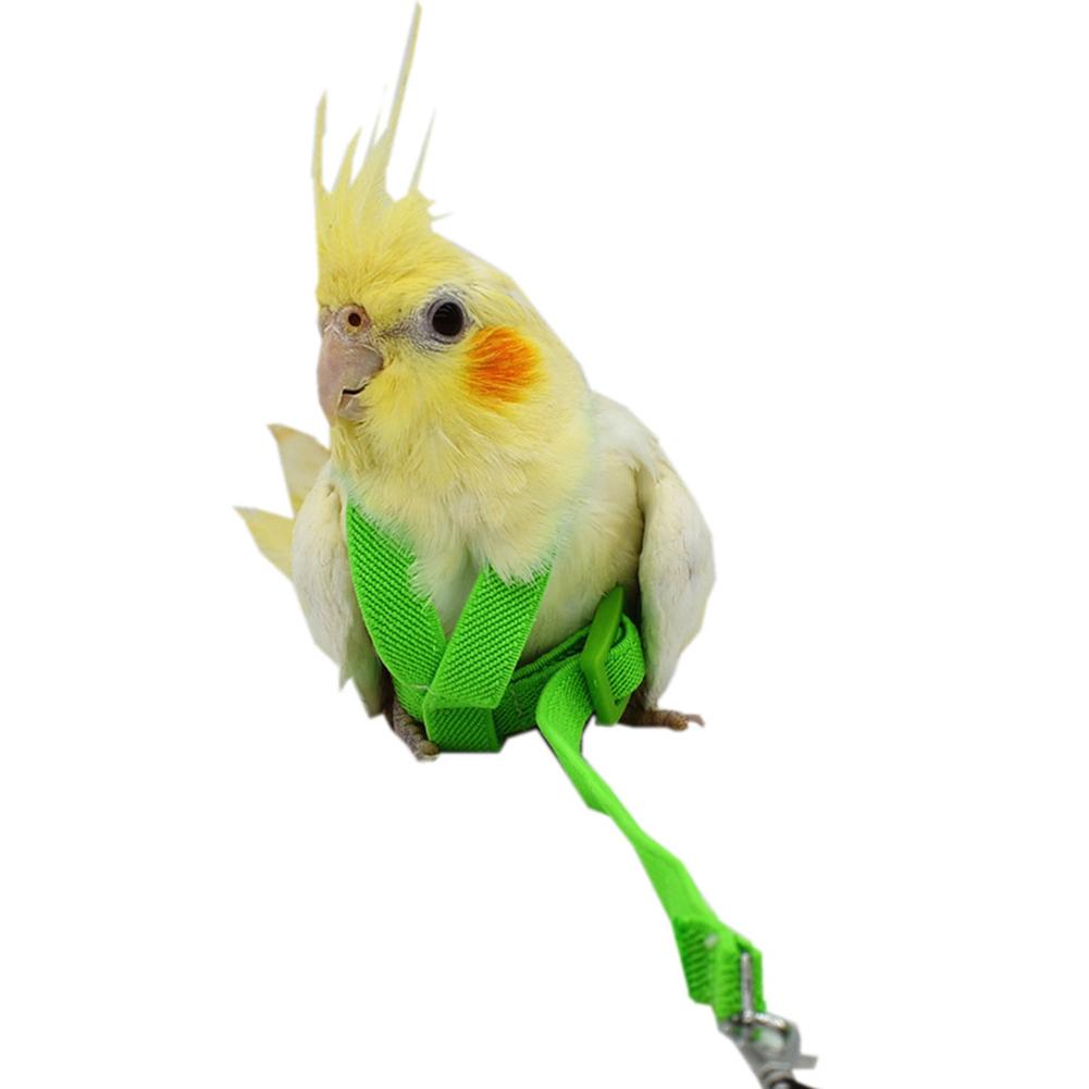 Hot Sale Anti-bite Flying Training Rope Parrot Bird