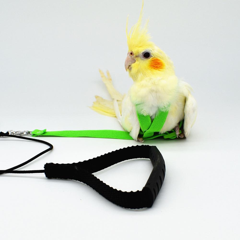 Hot Sale Anti-bite Flying Training Rope Parrot Bird