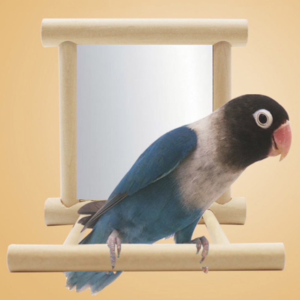 Wooden Pet Toy Mirror Fun Brid Toy For Cockatiel