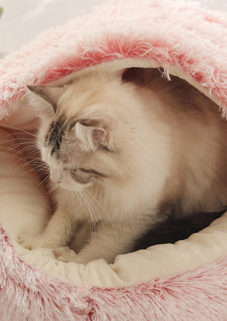 HOOPET New Style Pet Cat Bed