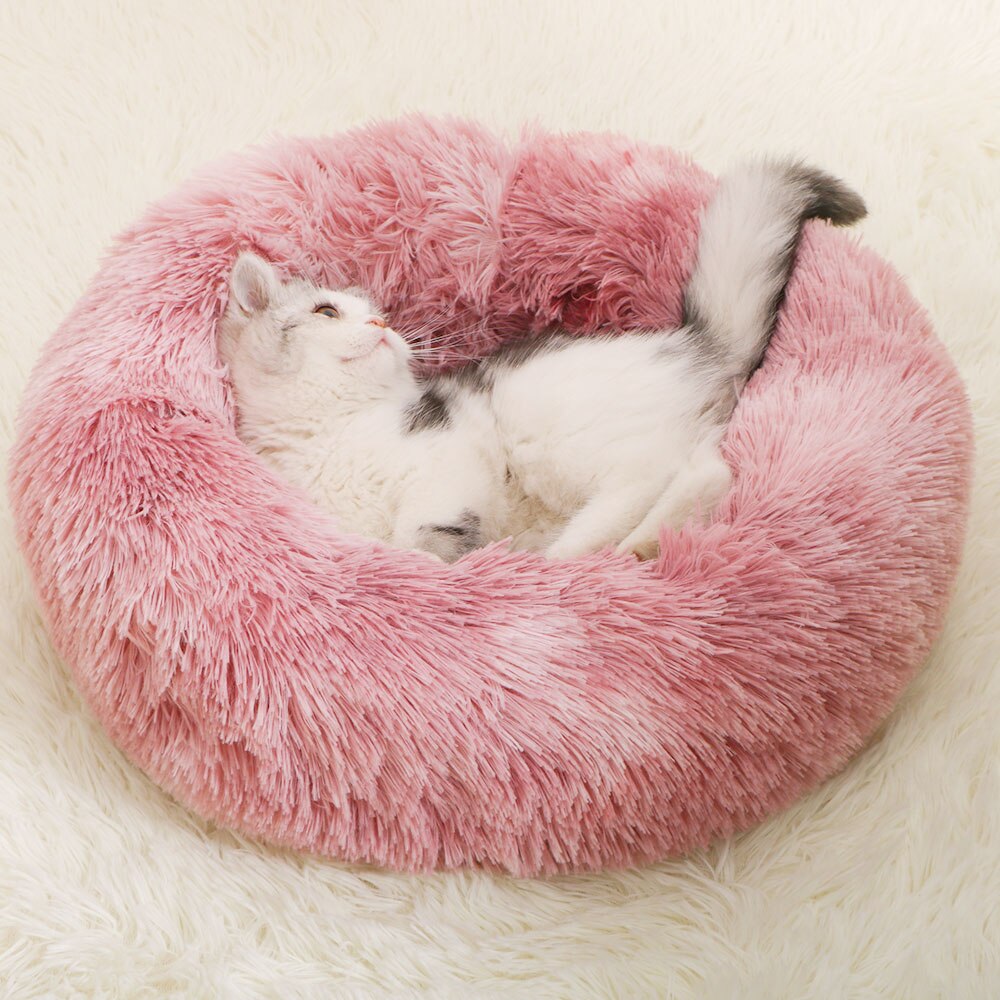 Donut Macaron Cat Bed