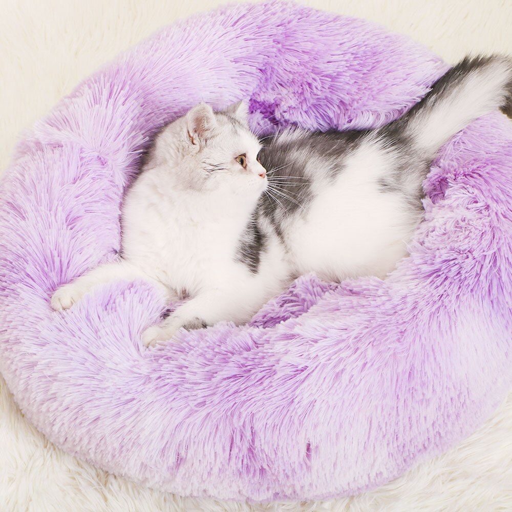 Donut Macaron Cat Bed