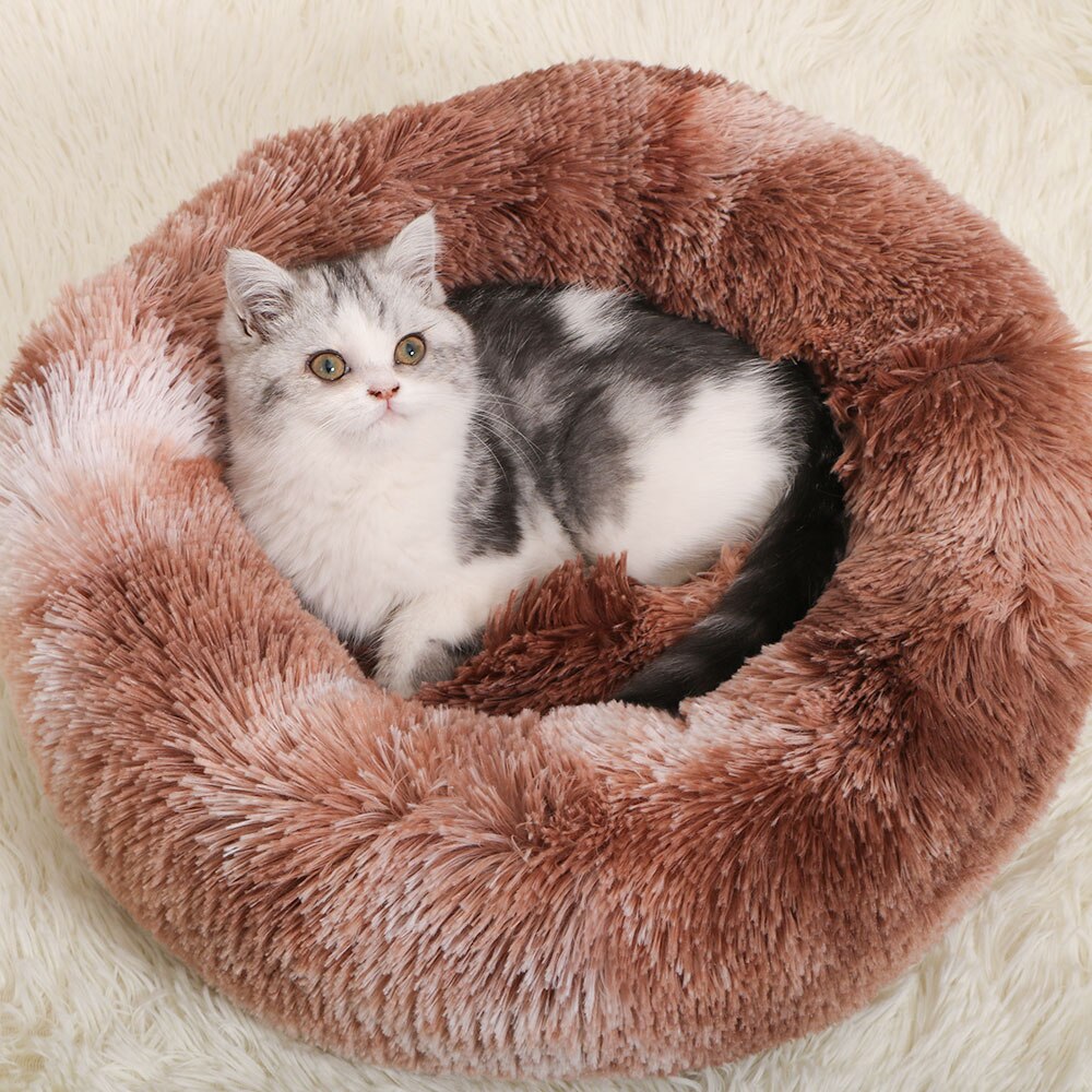 Donut Macaron Cat Bed