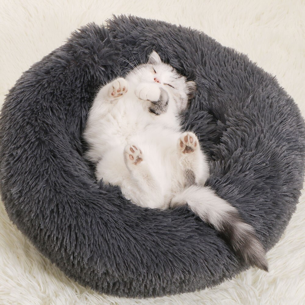 Donut Macaron Cat Bed