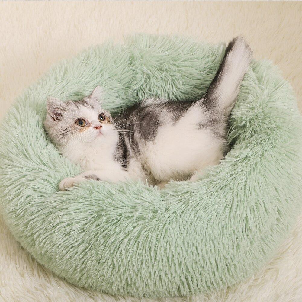 Donut Macaron Cat Bed