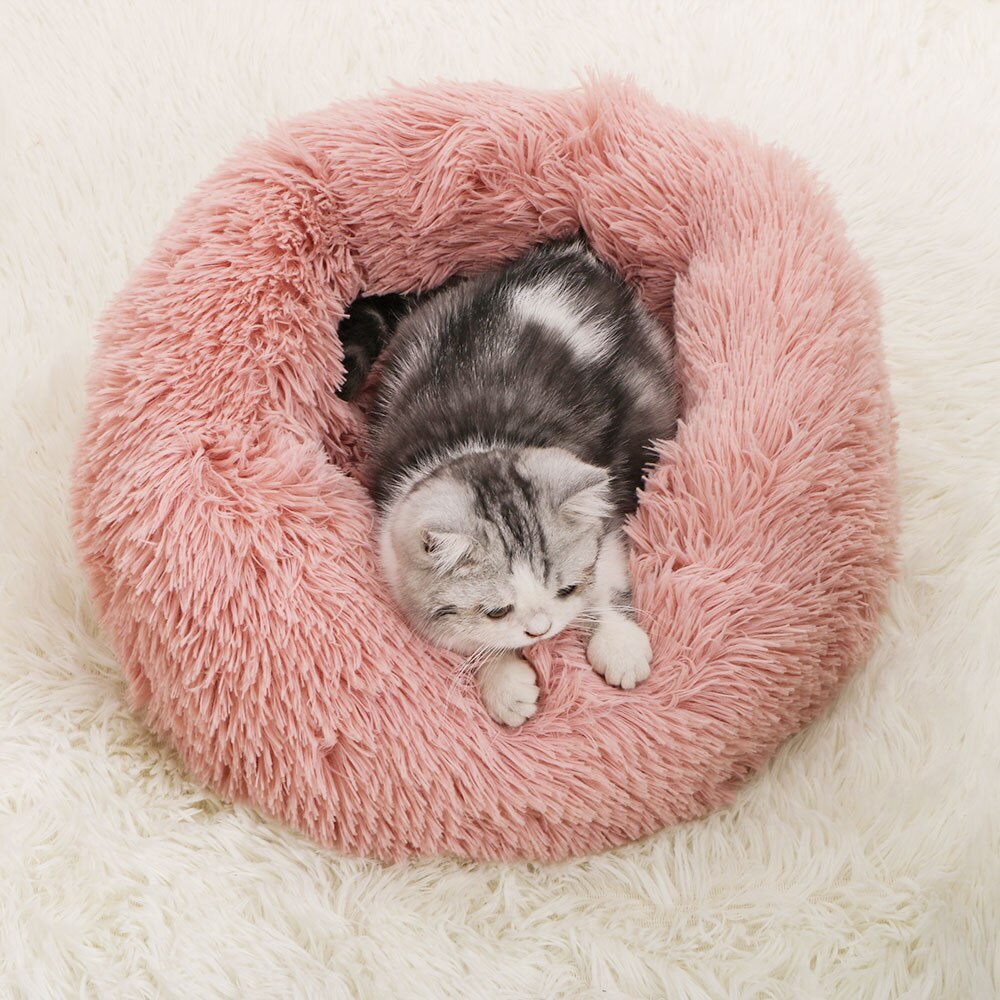 Donut Macaron Cat Bed