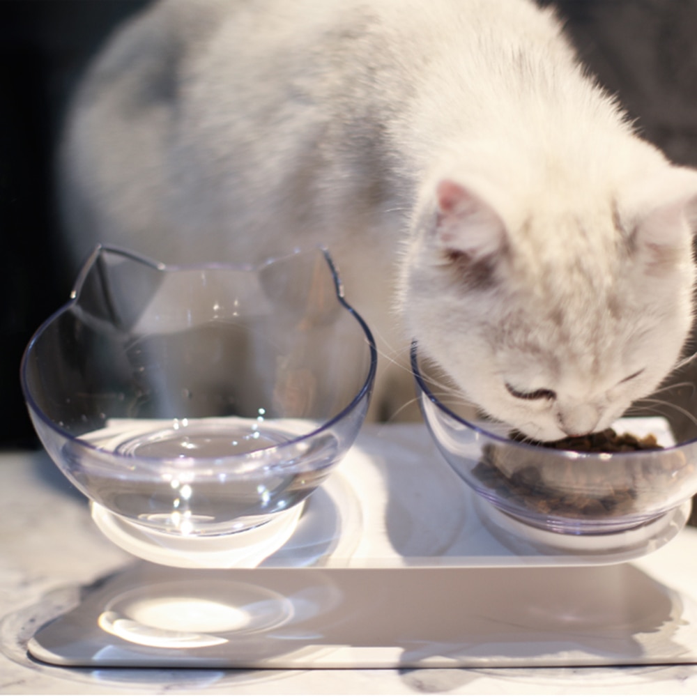 Non-slip Cat Bowls Double Pet