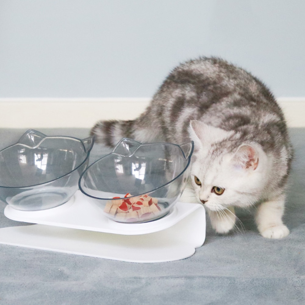 Non-slip Cat Bowls Double Pet