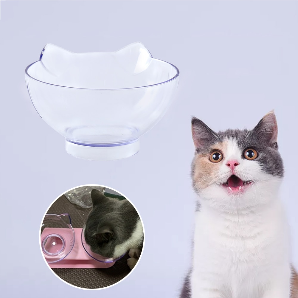 Non-slip Double Cat Bowl