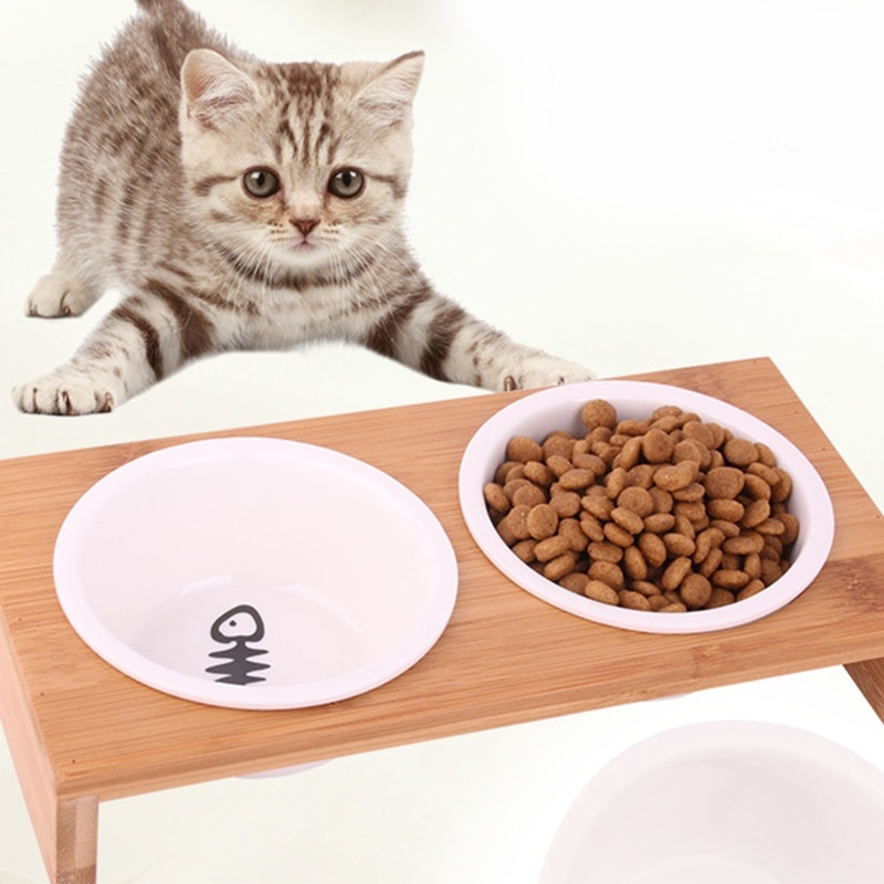 Elevated Pet Bowls, Raised Cat Feeder