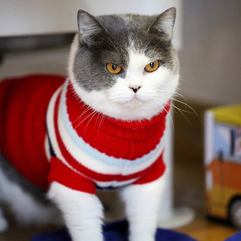 Christmas Cat Dog Sweater