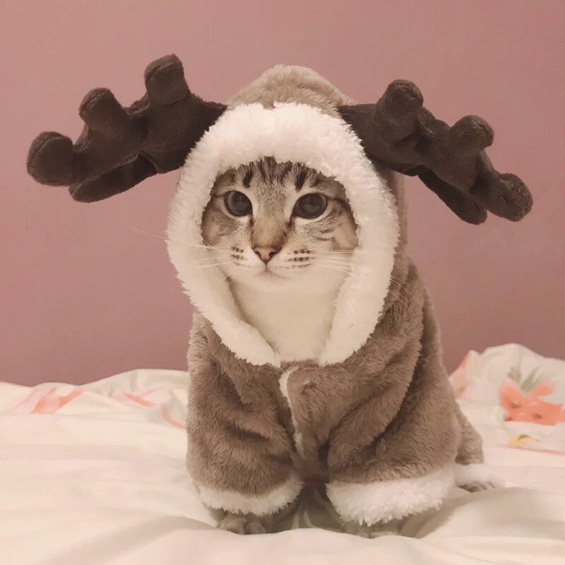 Winter Cat Clothes Warm Fleece Pet Costume