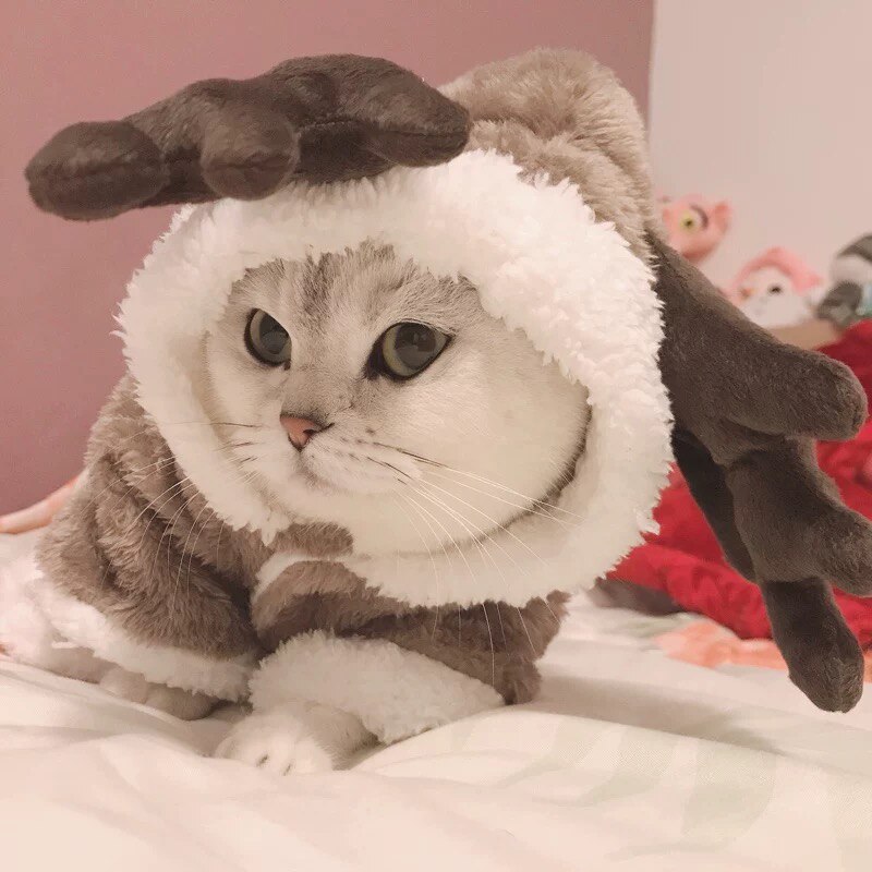 Winter Cat Clothes Warm Fleece Pet Costume