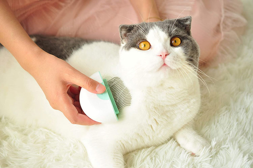 Cat Hair Brush Shedding Cat Massage Comb