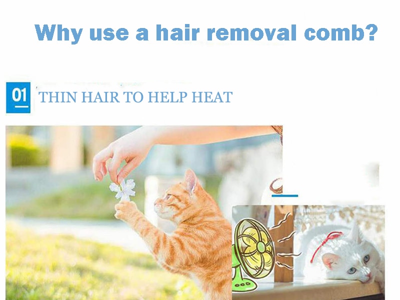 Pet Cat Hair Removal Comb