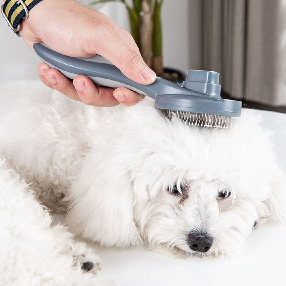 Hair Removal Comb For Cat