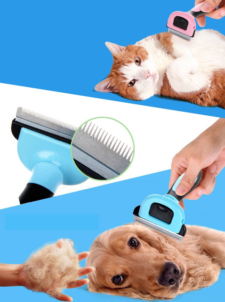 Combs Hair Remover Cat Brush Grooming Tools