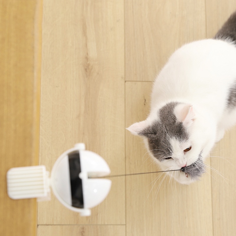 Electric Automatic Lifting Cat Ball Toy