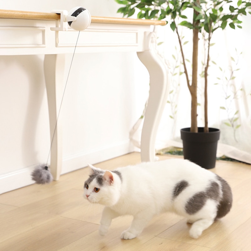 Electric Automatic Lifting Cat Ball Toy