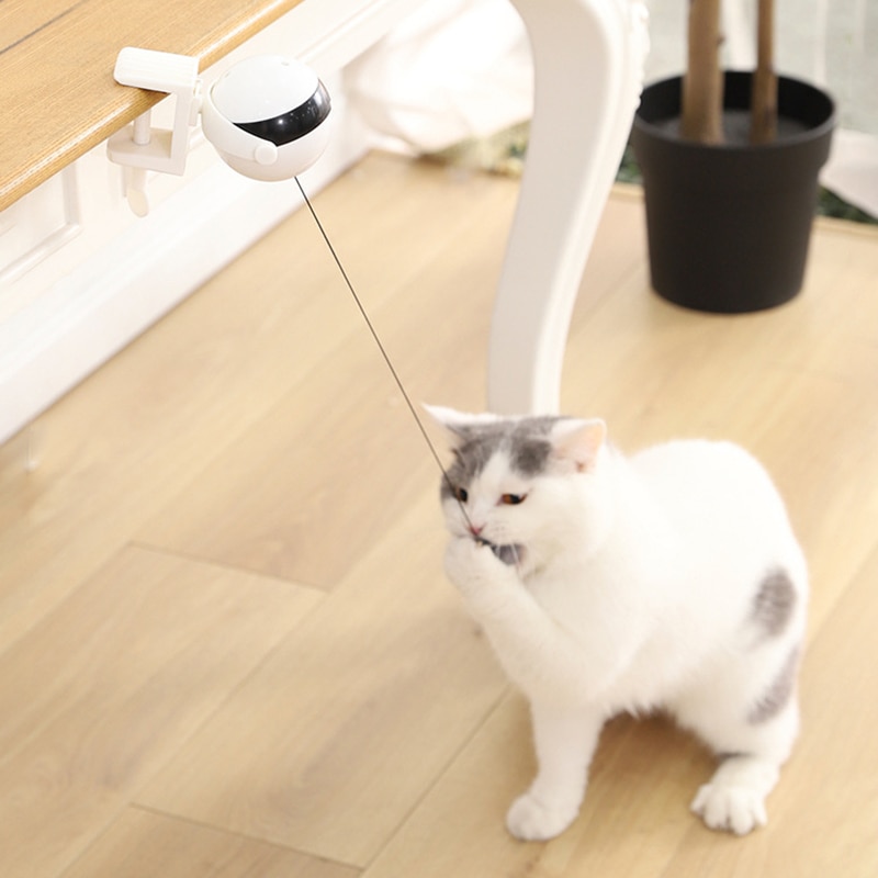 Electric Automatic Lifting Cat Ball Toy