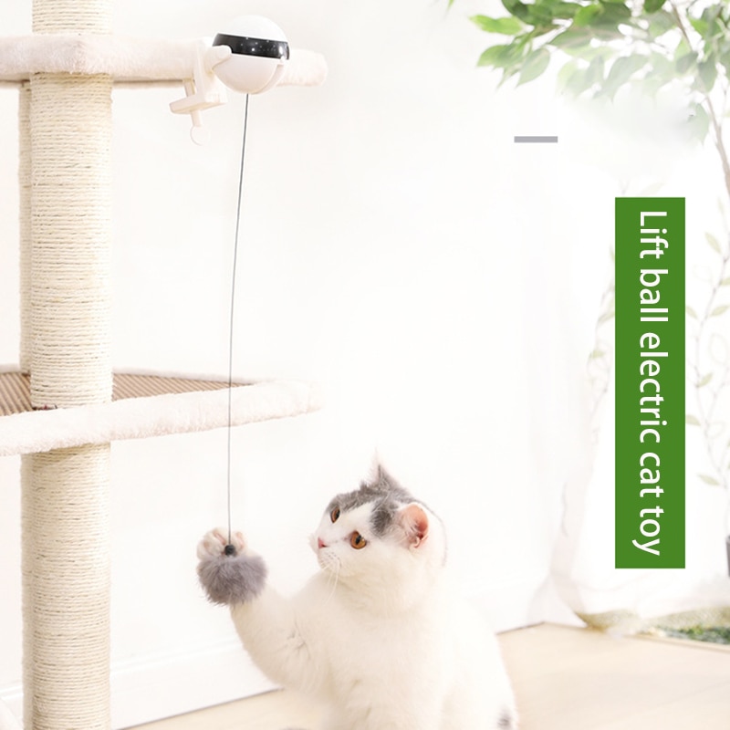 Electric Automatic Lifting Cat Ball Toy