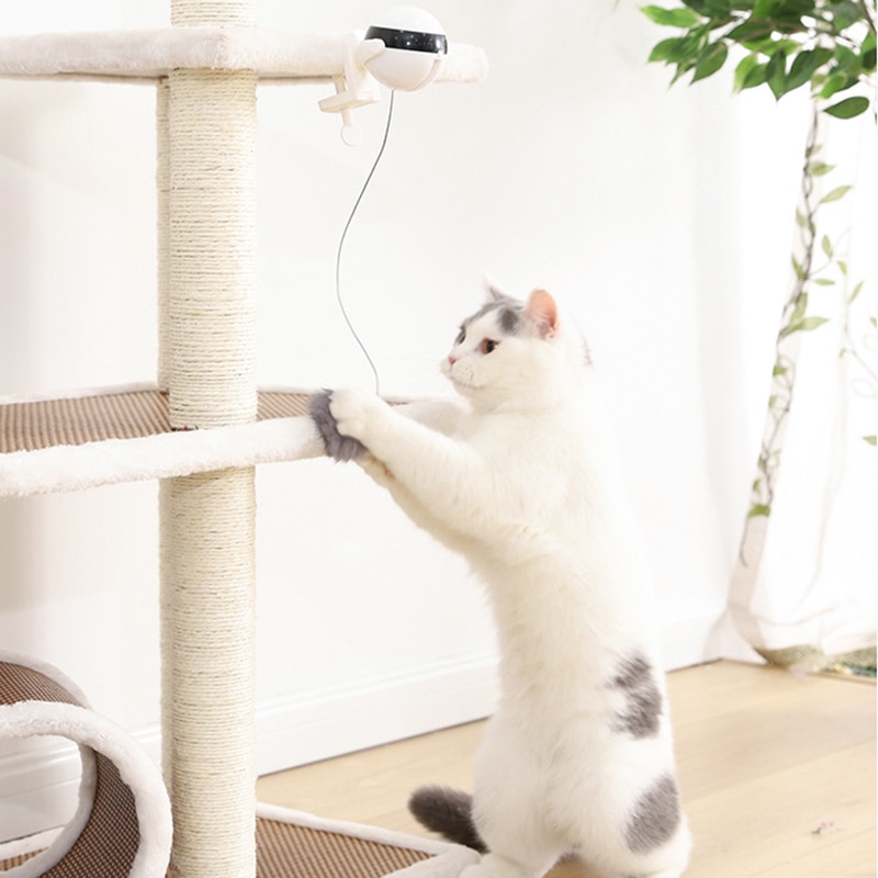 Electric Automatic Lifting Cat Ball Toy