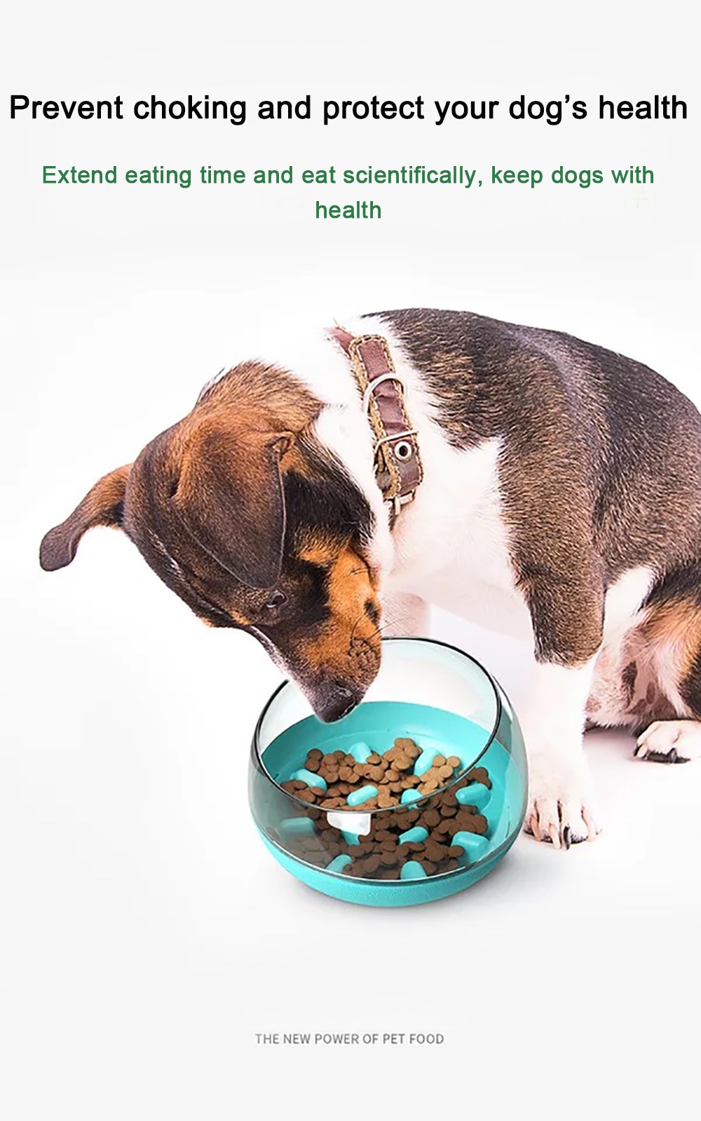 Dog Slower Feeder Bowl Spill-Proof Pet Tumbler