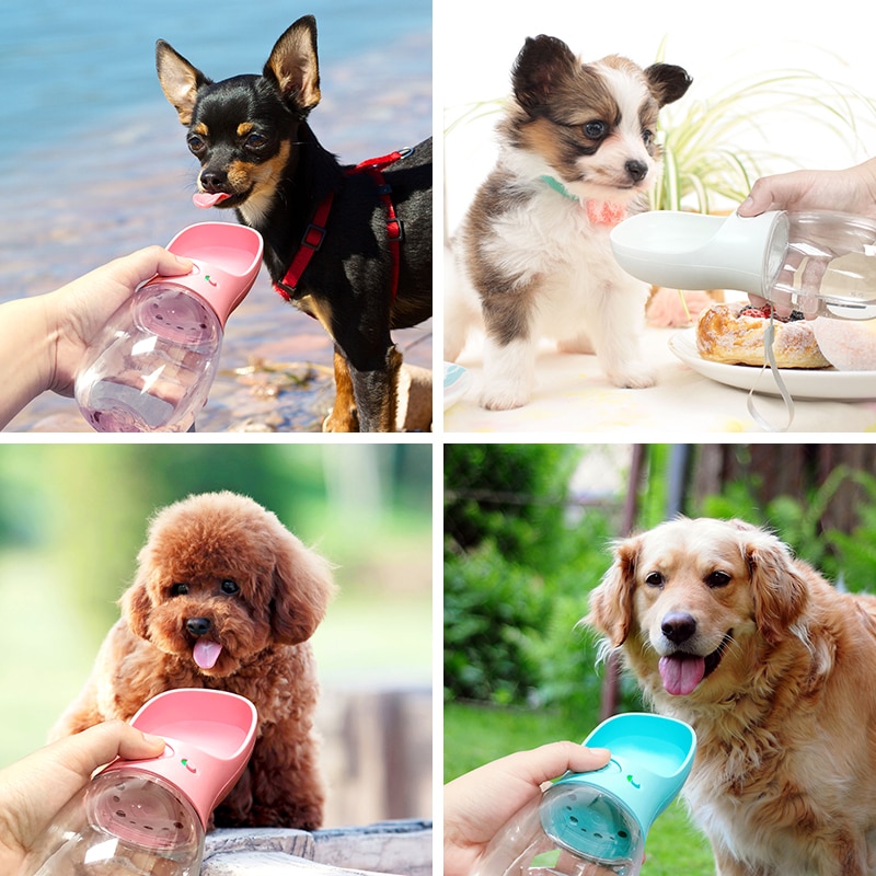 Portable Pet Dog Water Bottle