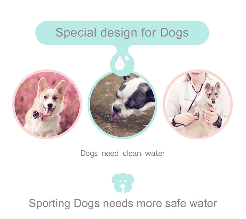 Portable Pet Dog Water Bottle