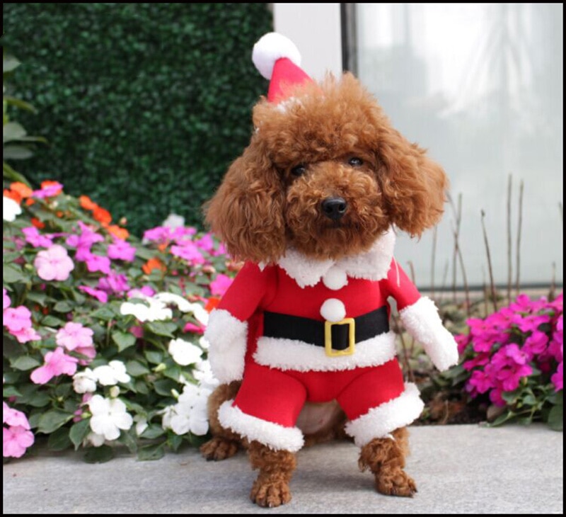 Christmas Pet Dog Costumes