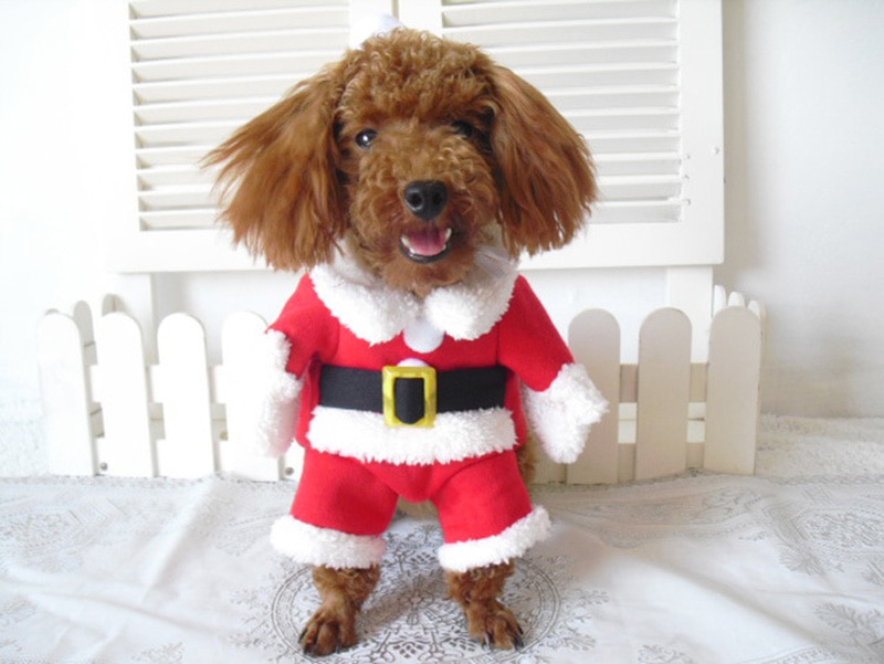 Christmas Pet Dog Costumes