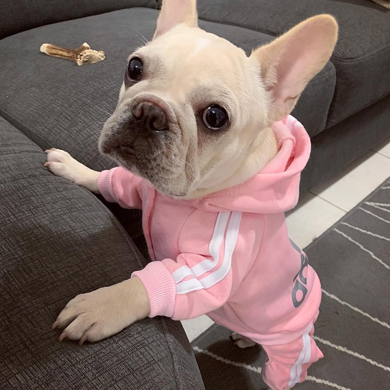 Pet Clothes French Bulldog Puppy Dog