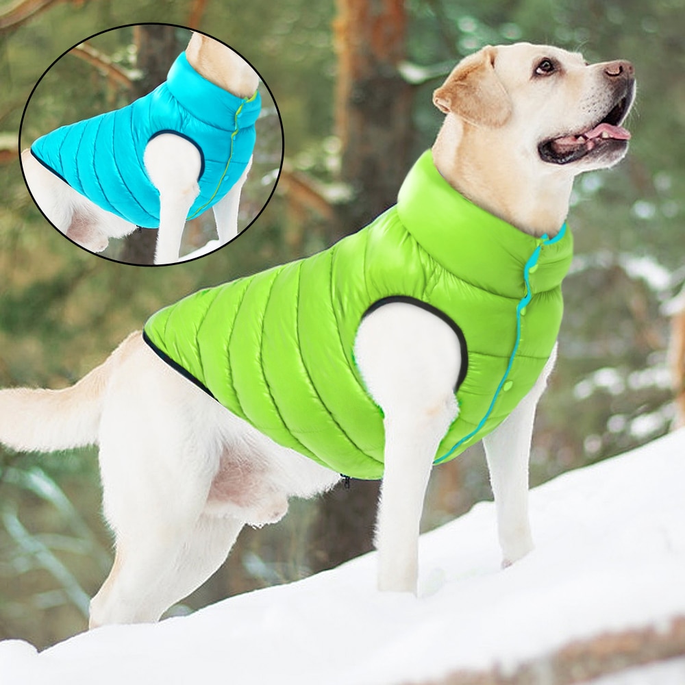 Warm Winter Dog Clothes