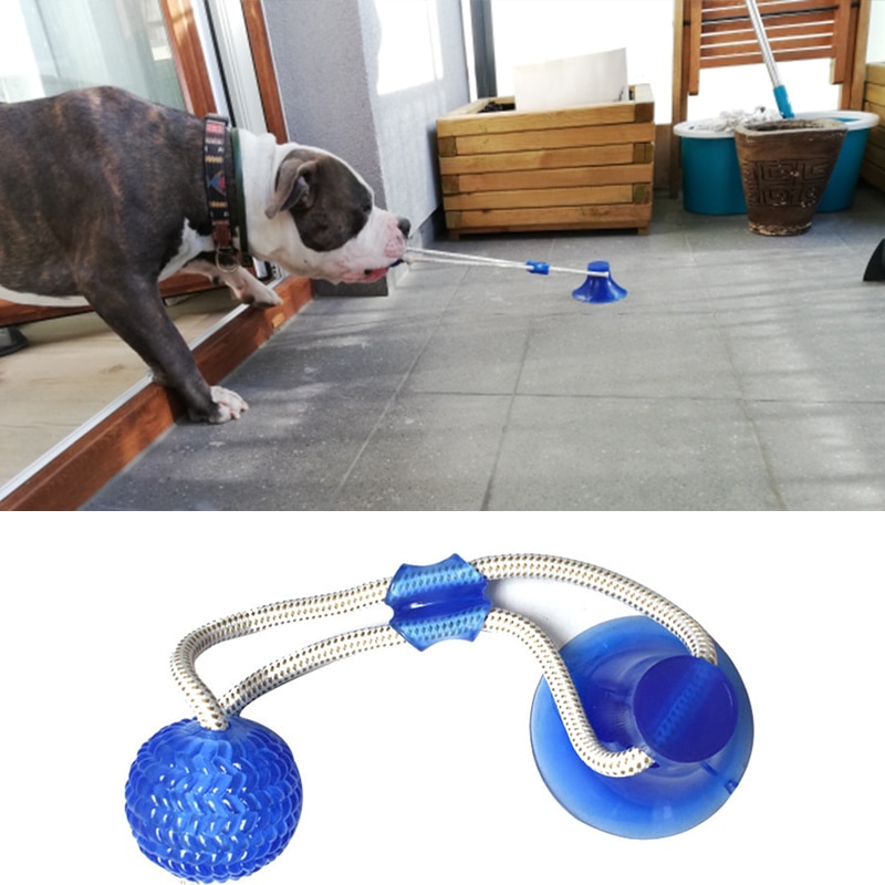 Dog Interactive Suction Cup Push TPR Ball Toys