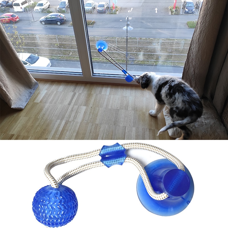 Dog Interactive Suction Cup Push TPR Ball Toys