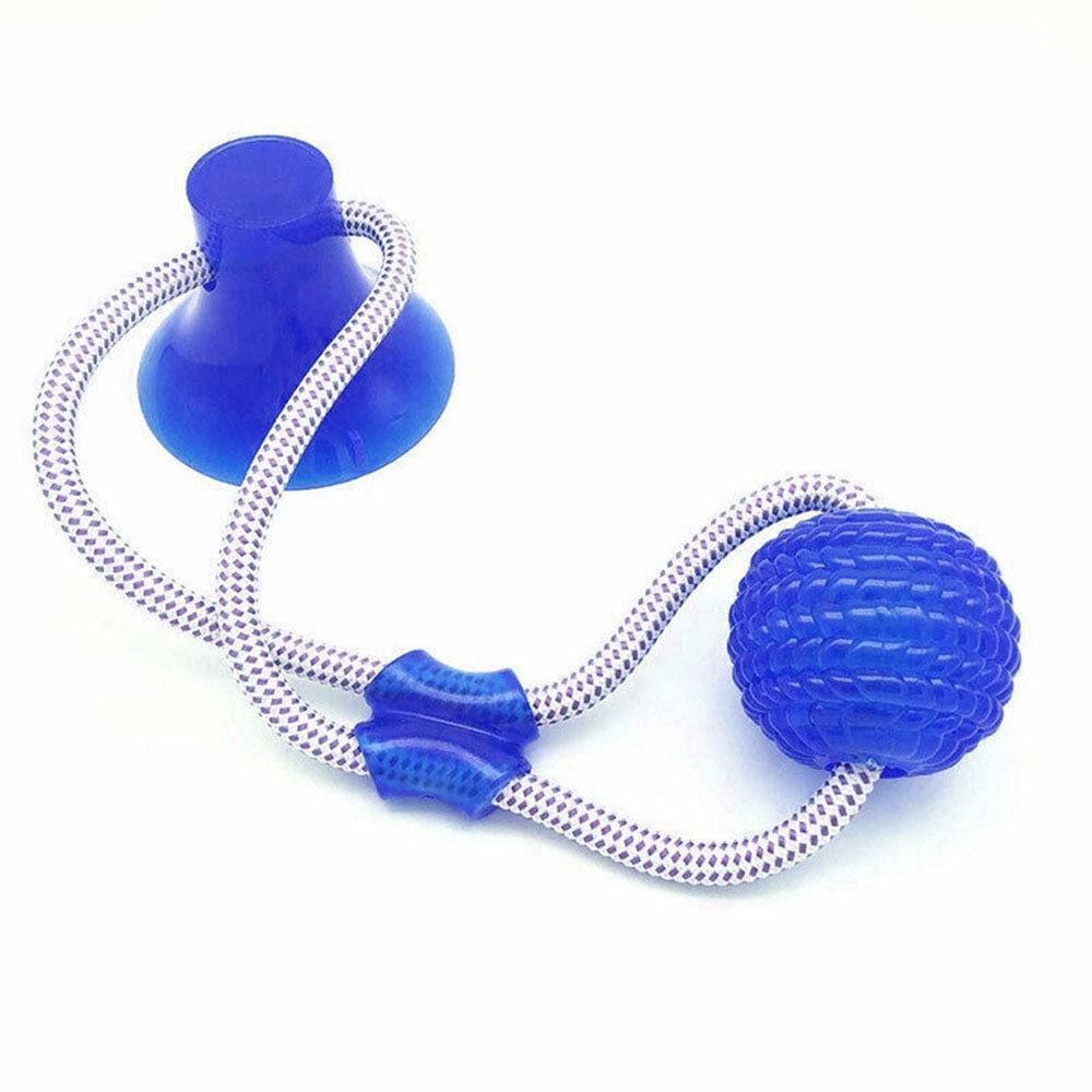 Dog Interactive Suction Cup Push TPR Ball Toysppy Supplies