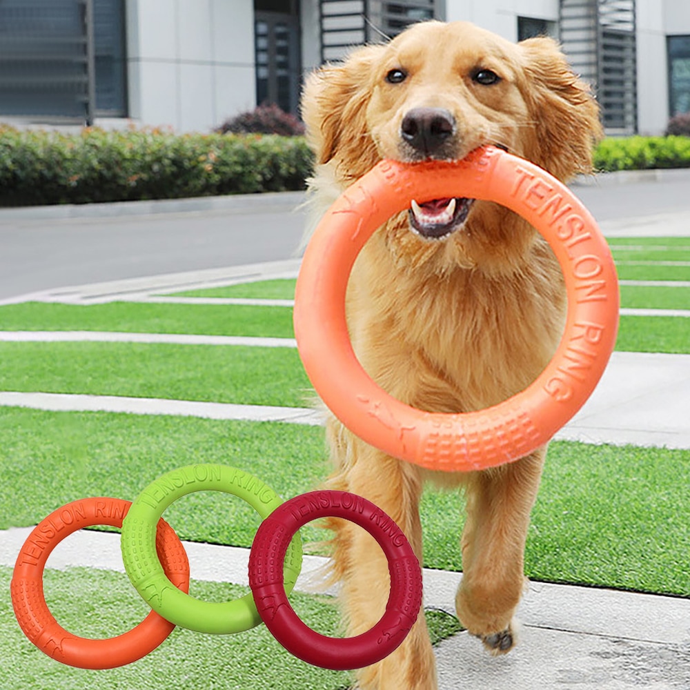 Pet Flying Discs EVA Dog