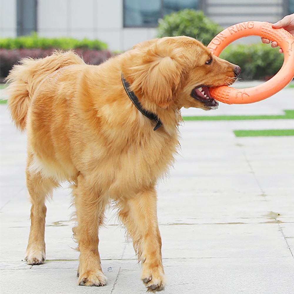 Pet Flying Discs EVA Dog