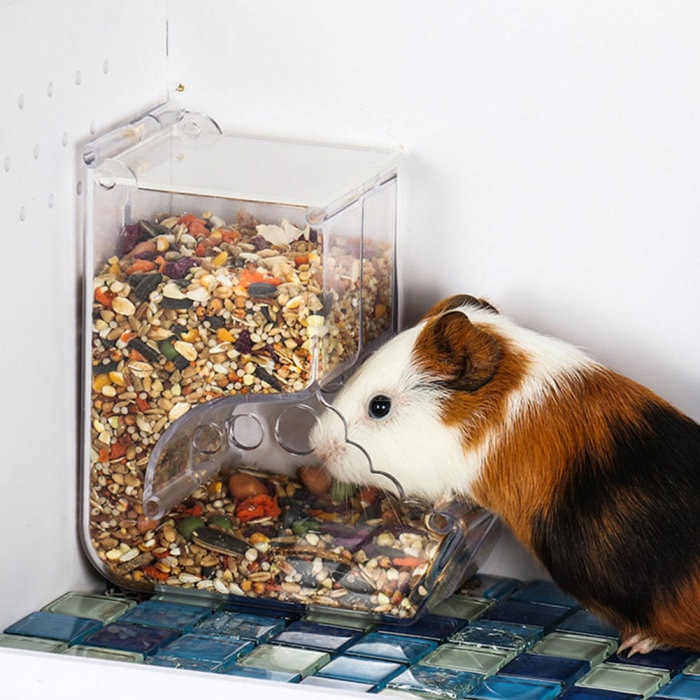 Acrylic Hamster Food Feeder