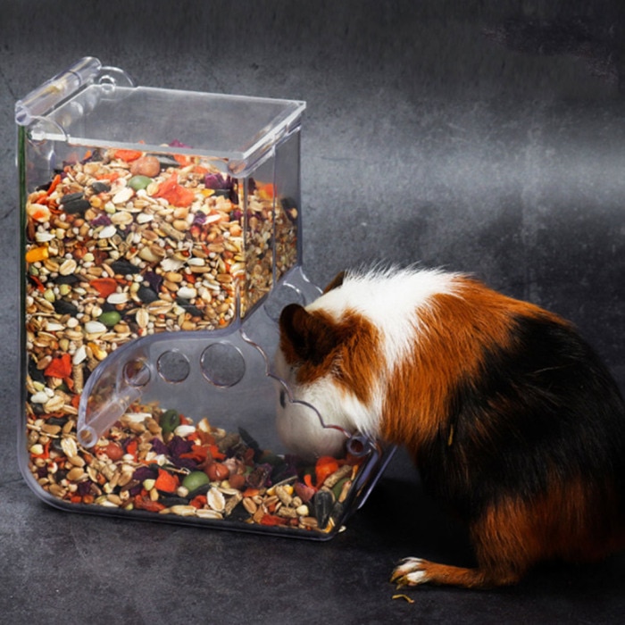 Acrylic Hamster Food Feeder